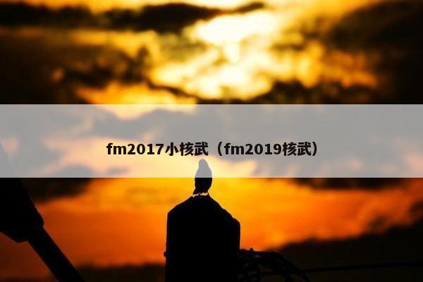 fm2017小核武（fm2019核武）