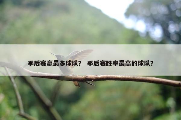 季后赛赢最多球队？ 季后赛胜率最高的球队？