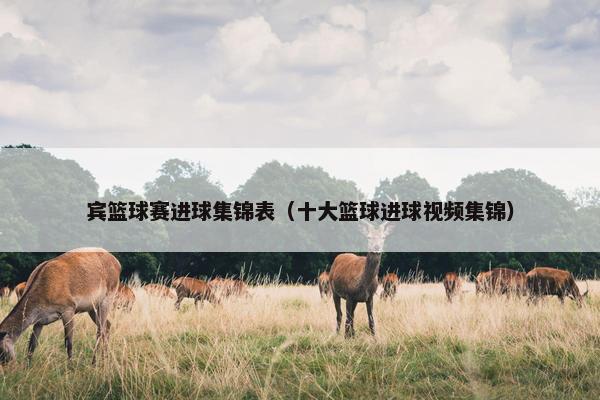 宾篮球赛进球集锦表（十大篮球进球视频集锦）