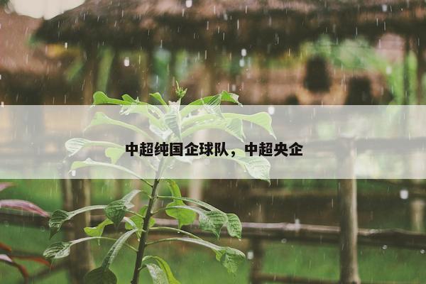 中超纯国企球队，中超央企