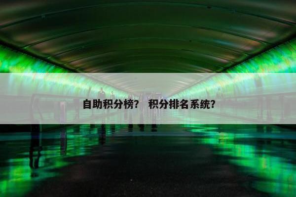 自助积分榜？ 积分排名系统？