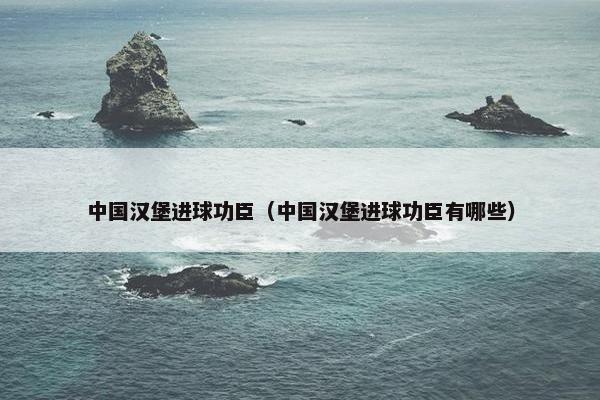 中国汉堡进球功臣（中国汉堡进球功臣有哪些）