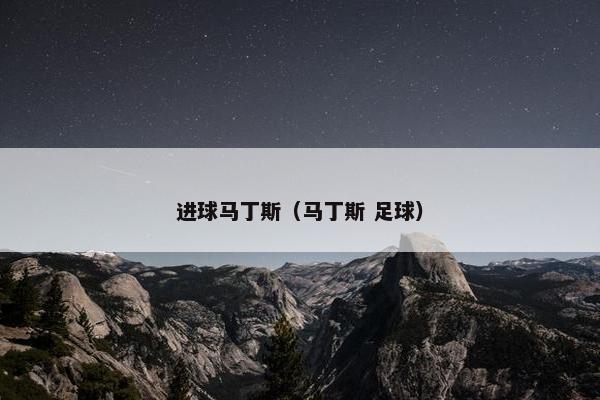 进球马丁斯（马丁斯 足球）