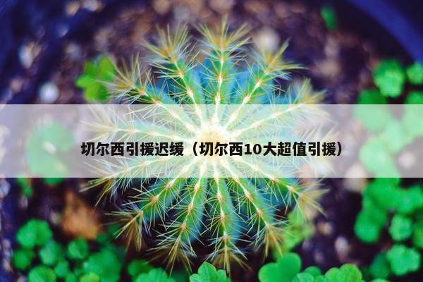 切尔西引援迟缓（切尔西10大超值引援）