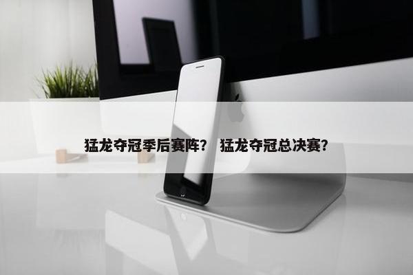 猛龙夺冠季后赛阵？ 猛龙夺冠总决赛？