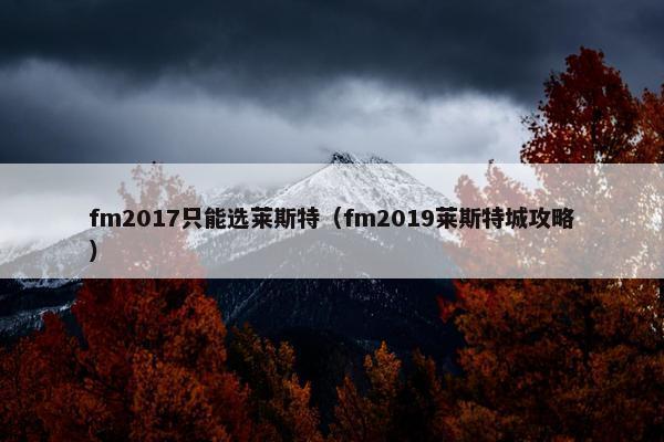 fm2017只能选莱斯特（fm2019莱斯特城攻略）