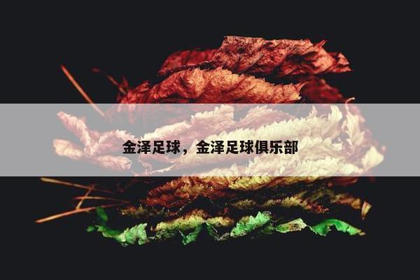 金泽足球，金泽足球俱乐部