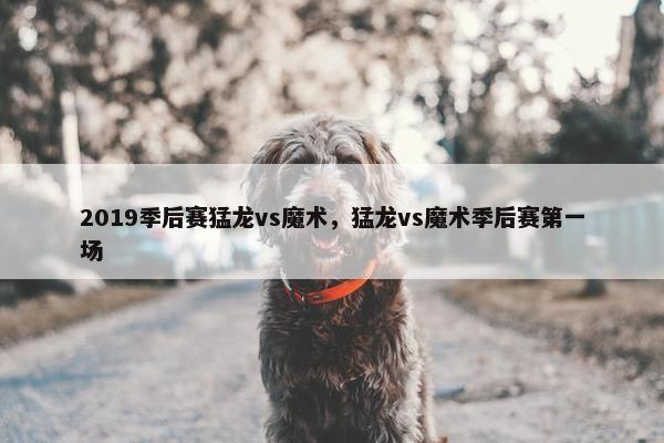 2019季后赛猛龙vs魔术，猛龙vs魔术季后赛第一场