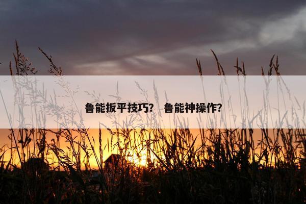 鲁能扳平技巧？ 鲁能神操作？