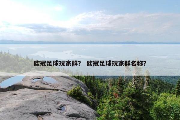 欧冠足球玩家群？ 欧冠足球玩家群名称？