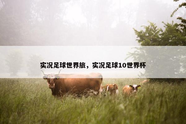 实况足球世界旅，实况足球10世界杯