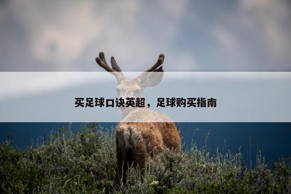 买足球口诀英超，足球购买指南