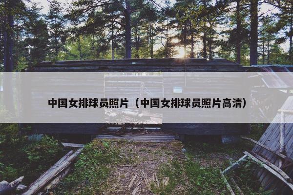 中国女排球员照片（中国女排球员照片高清）