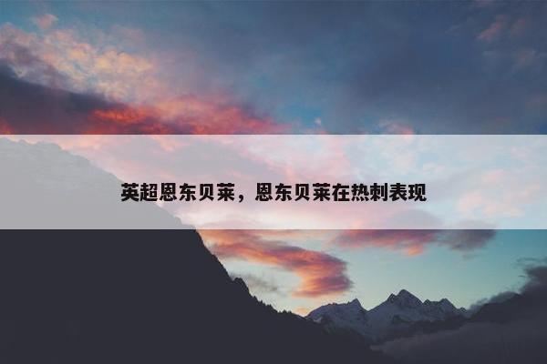 英超恩东贝莱，恩东贝莱在热刺表现