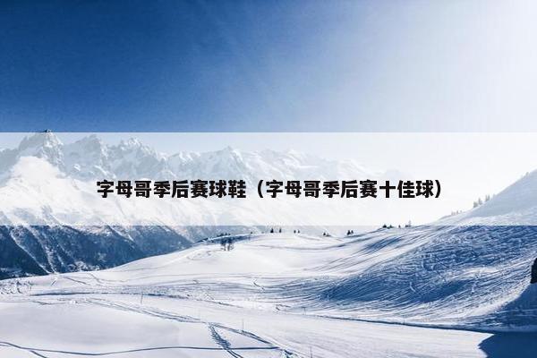 字母哥季后赛球鞋（字母哥季后赛十佳球）