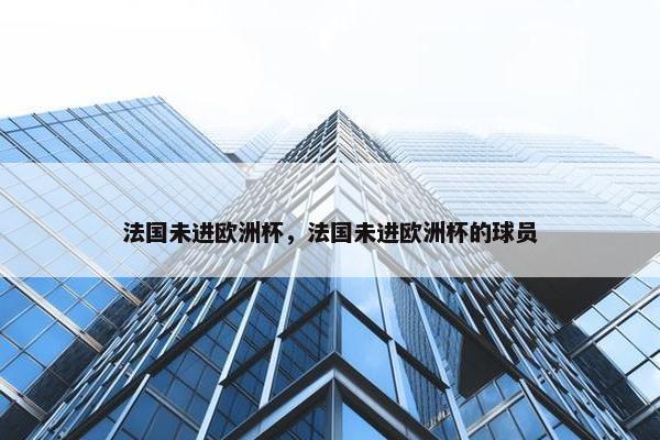 法国未进欧洲杯，法国未进欧洲杯的球员
