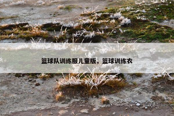 篮球队训练服儿童版，篮球训练衣