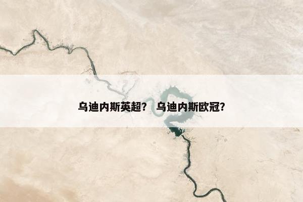 乌迪内斯英超？ 乌迪内斯欧冠？