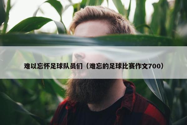 难以忘怀足球队员们（难忘的足球比赛作文700）
