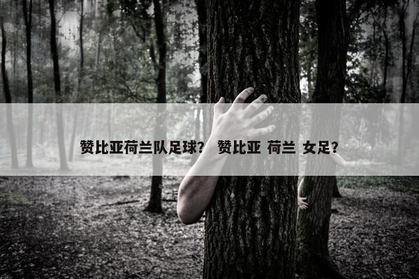 赞比亚荷兰队足球？ 赞比亚 荷兰 女足？