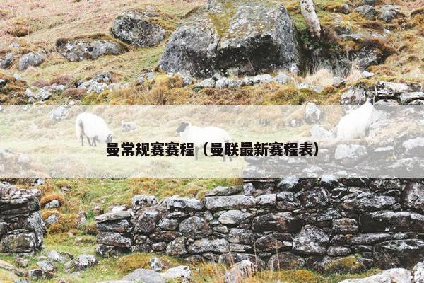 曼常规赛赛程（曼联最新赛程表）