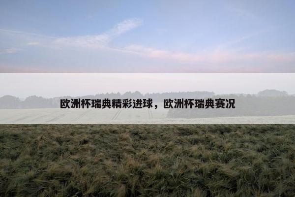 欧洲杯瑞典精彩进球，欧洲杯瑞典赛况