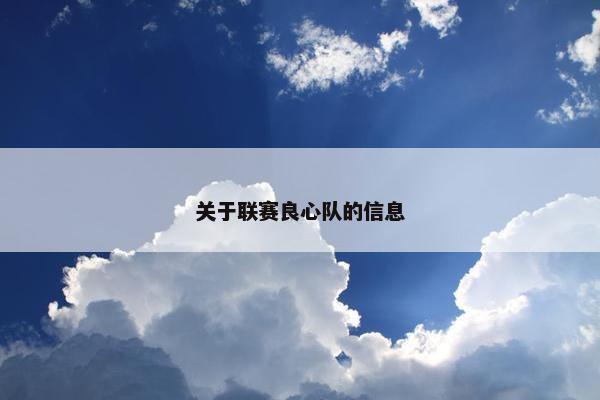 关于联赛良心队的信息