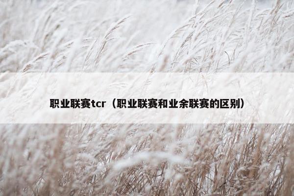 职业联赛tcr（职业联赛和业余联赛的区别）