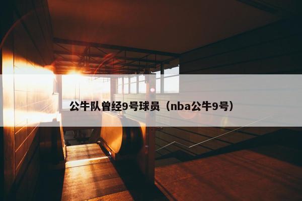 公牛队曾经9号球员（nba公牛9号）