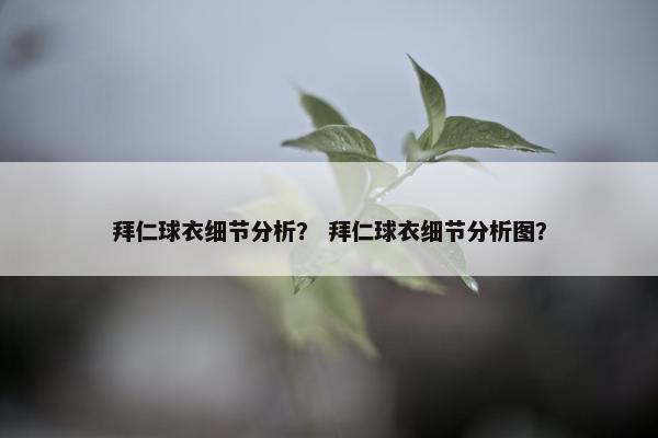 拜仁球衣细节分析？ 拜仁球衣细节分析图？
