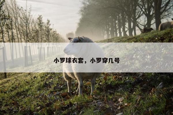 小罗球衣套，小罗穿几号