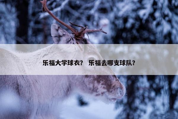 乐福大学球衣？ 乐福去哪支球队？