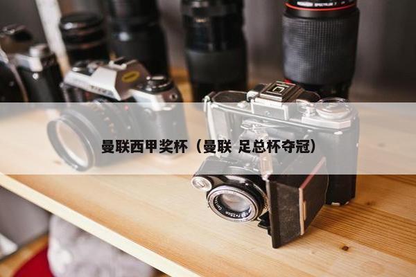 曼联西甲奖杯（曼联 足总杯夺冠）