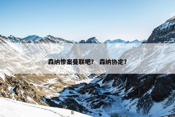 森纳惨案曼联吧？ 森纳协定？