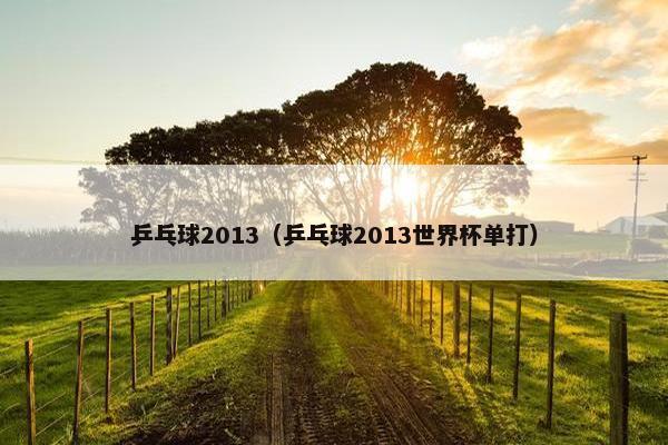 乒乓球2013（乒乓球2013世界杯单打）