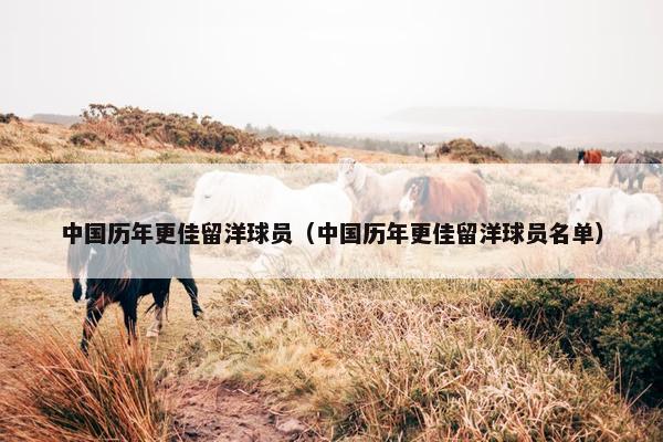 中国历年更佳留洋球员（中国历年更佳留洋球员名单）