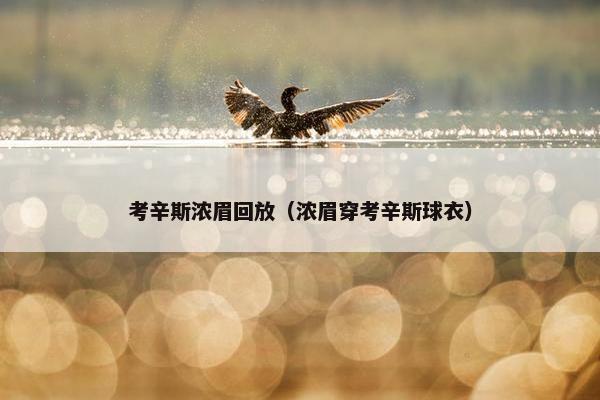 考辛斯浓眉回放（浓眉穿考辛斯球衣）