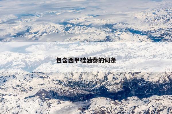 包含西甲硅油泰的词条