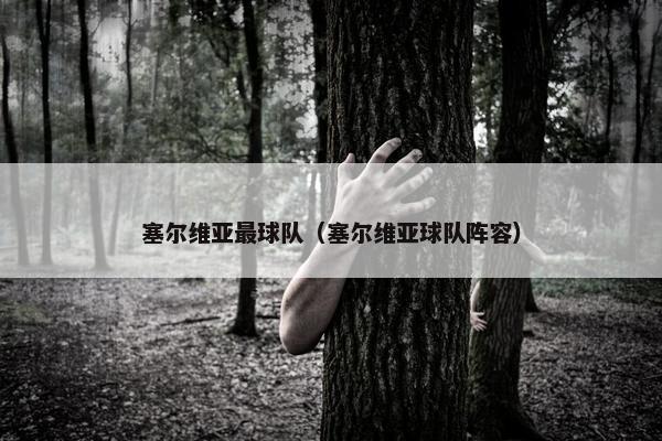 塞尔维亚最球队（塞尔维亚球队阵容）