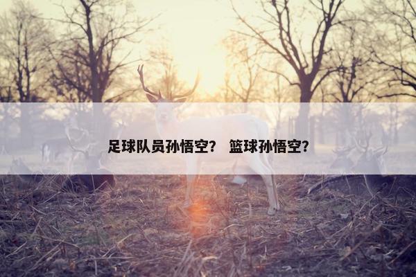 足球队员孙悟空？ 篮球孙悟空？