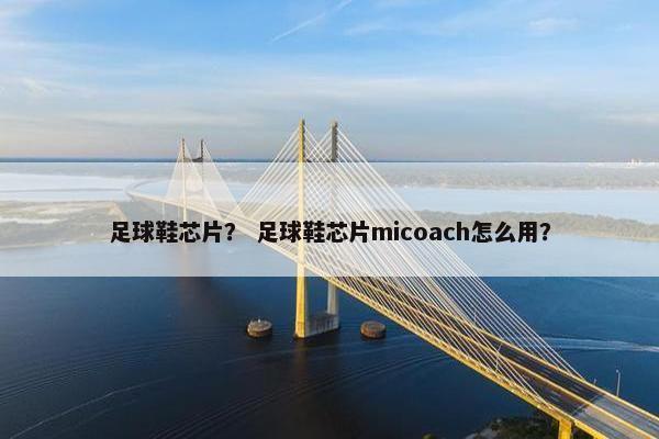 足球鞋芯片？ 足球鞋芯片micoach怎么用？