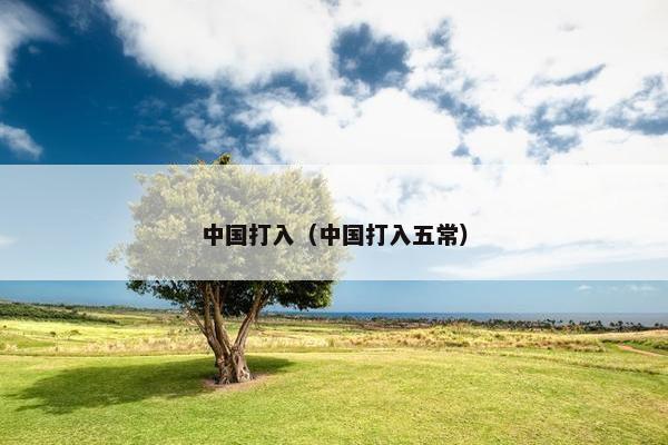 中国打入（中国打入五常）