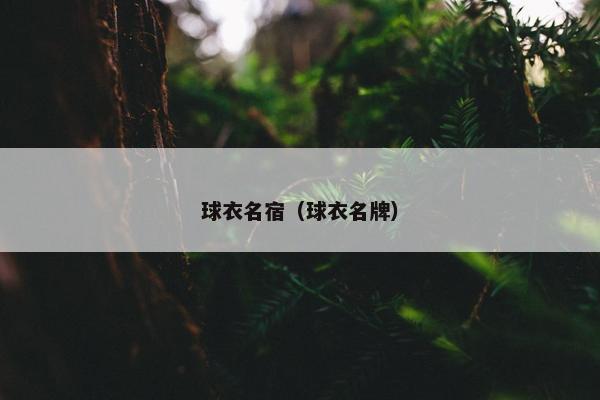 球衣名宿（球衣名牌）