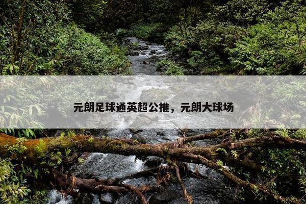 元朗足球通英超公推，元朗大球场