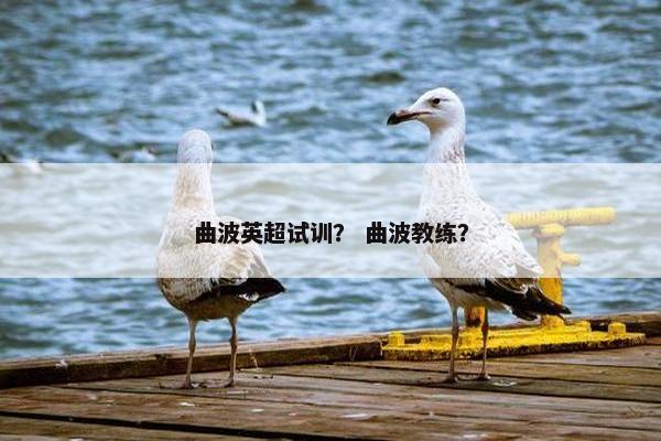 曲波英超试训？ 曲波教练？