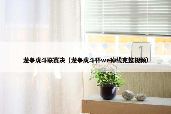 龙争虎斗联赛决（龙争虎斗杯we掉线完整视频）