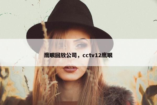 鹰眼回放公司，cctv12鹰眼