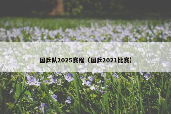 国乒队2025赛程（国乒2021比赛）