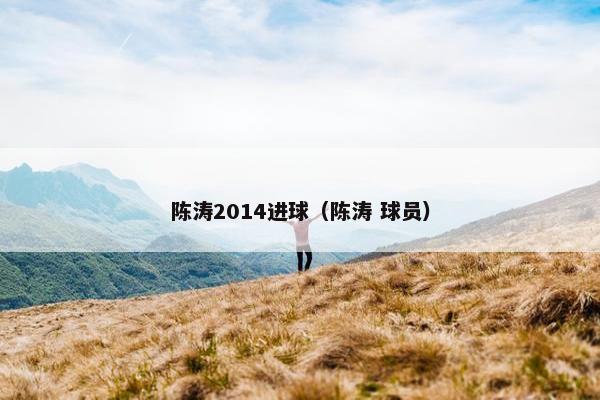 陈涛2014进球（陈涛 球员）