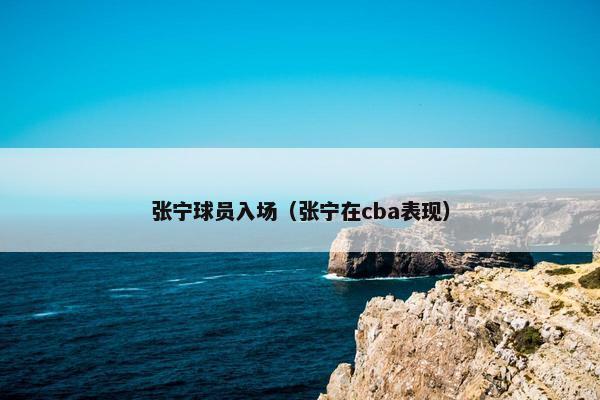 张宁球员入场（张宁在cba表现）